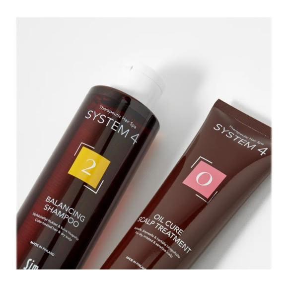 System 4 Program №15